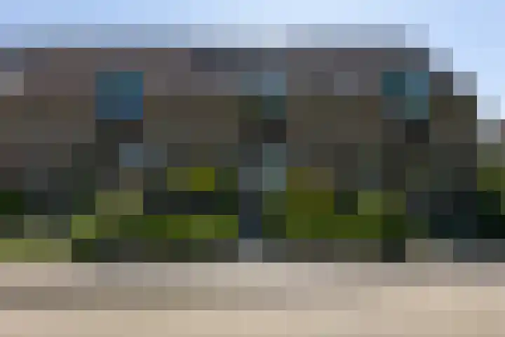 Kamille 4 Sneek