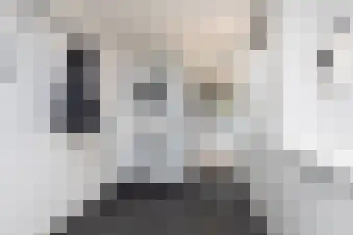 Kamille 4 Sneek thumbnail 13