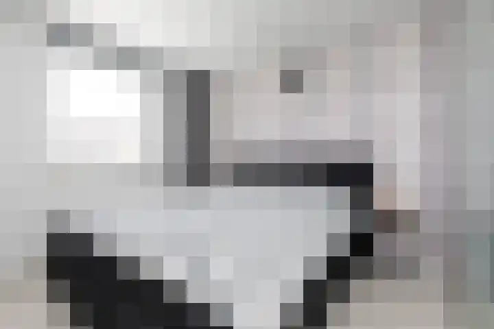 Kamille 4 Sneek thumbnail 20