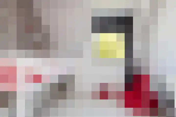Kamille 4 Sneek thumbnail 23