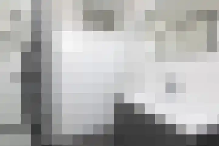 Kamille 4 Sneek thumbnail 26