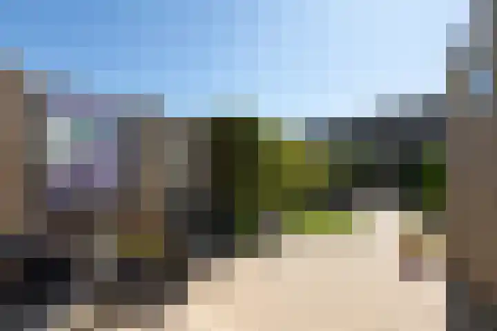Kamille 4 Sneek thumbnail 31