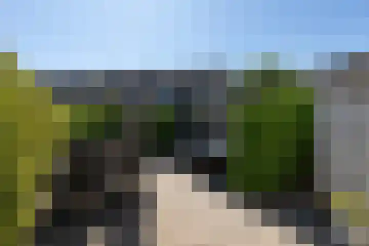 Kamille 4 Sneek thumbnail 33