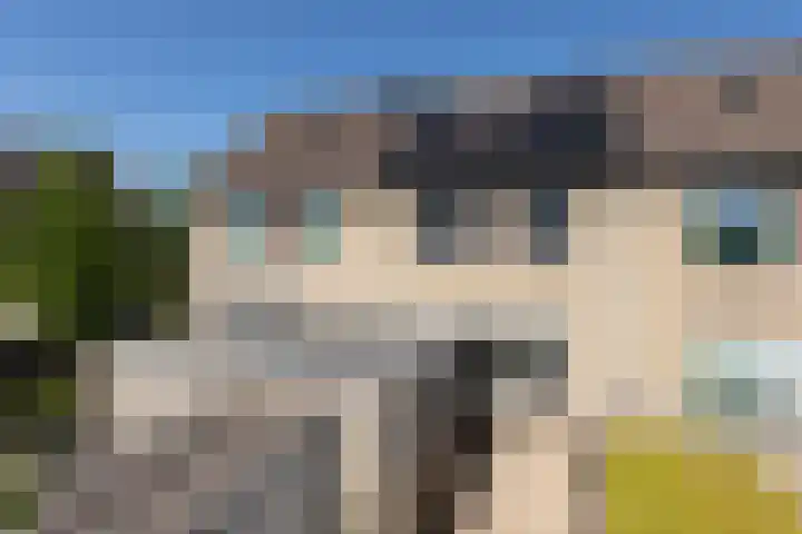 Kamille 4 Sneek thumbnail 36