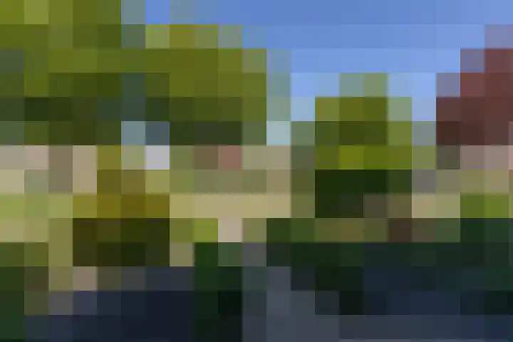 Kamille 4 Sneek thumbnail 38