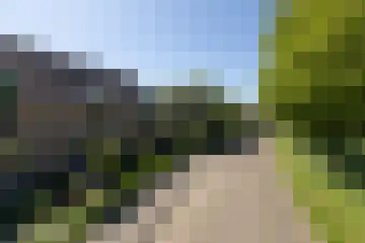 Kamille 4 Sneek thumbnail 40
