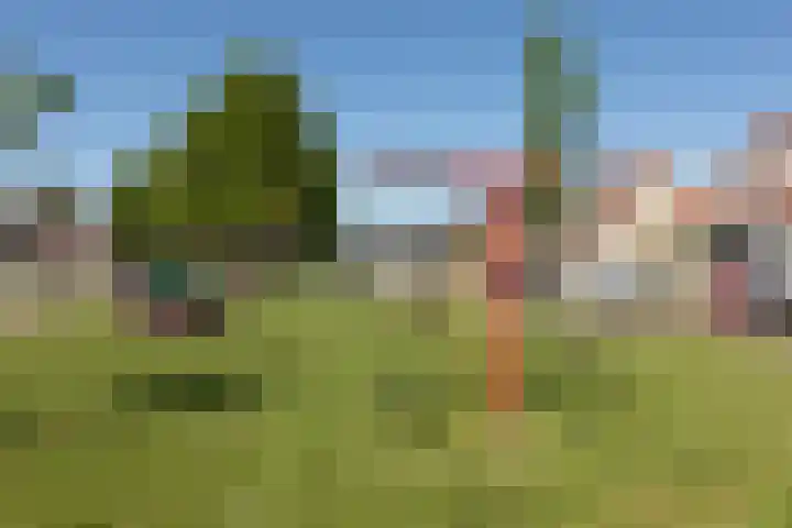 Kamille 4 Sneek thumbnail 42