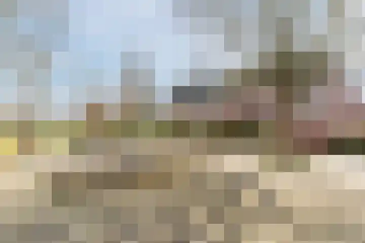 Kamille 42 Culemborg thumbnail 32