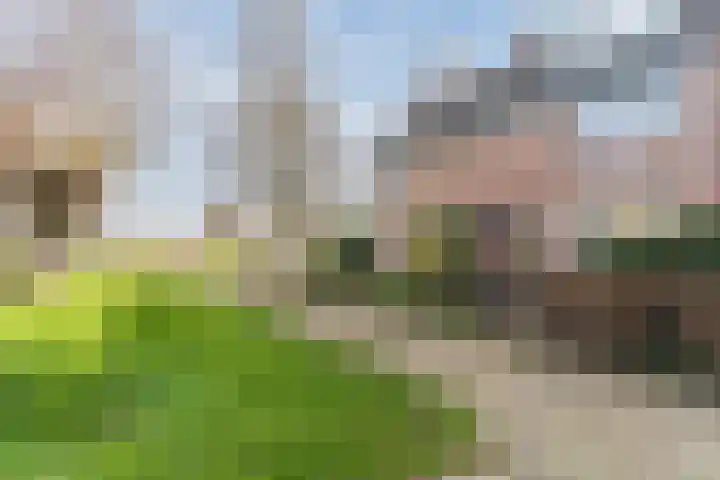 Kamille 42 Culemborg thumbnail 4