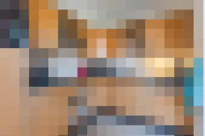 Kamille 5 Cuijk thumbnail 11