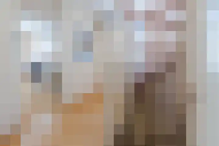 Kamille 5 Cuijk thumbnail 12