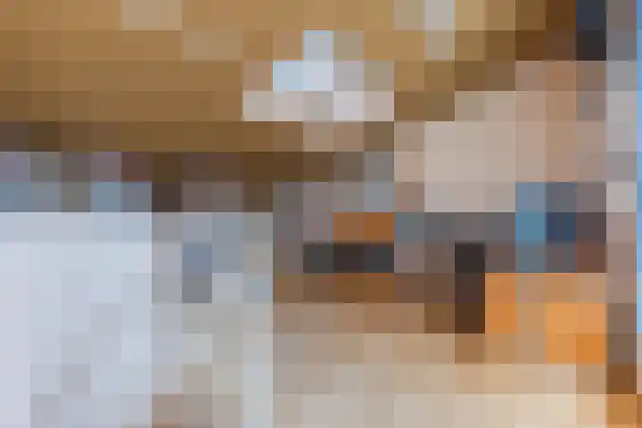Kamille 5 Cuijk thumbnail 21