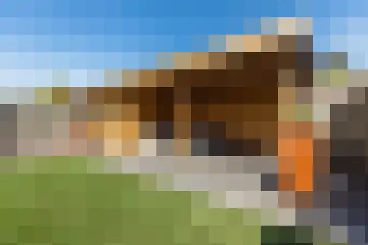 Kamille 5 Cuijk thumbnail 22