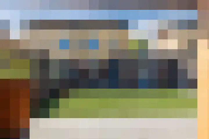 Kamille 5 Cuijk thumbnail 23