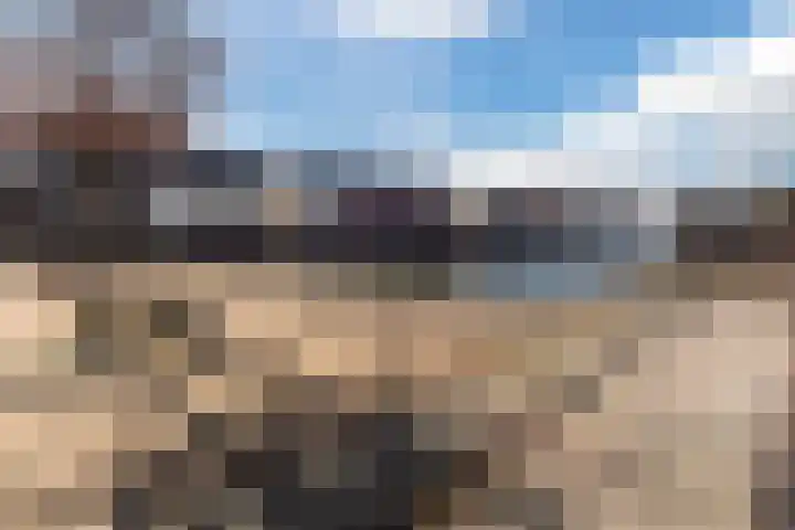 Kamille 5 Cuijk thumbnail 25