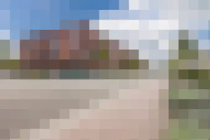 Kamille 5 Cuijk thumbnail 26