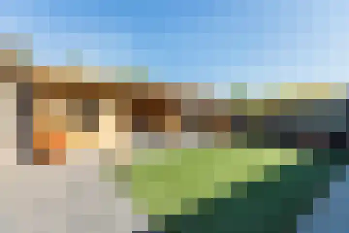 Kamille 5 Cuijk thumbnail 4