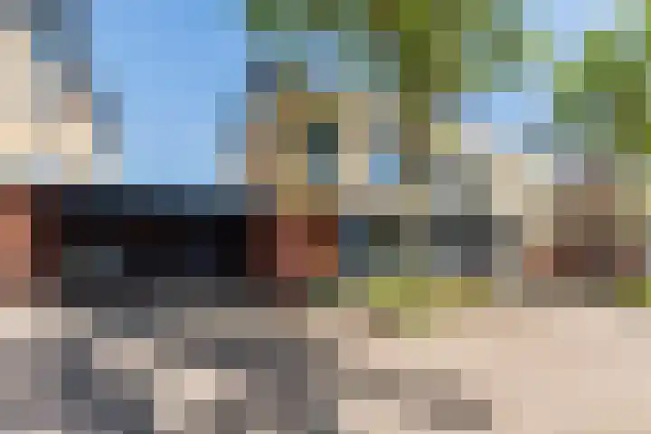 Kamille 5 Cuijk thumbnail 6