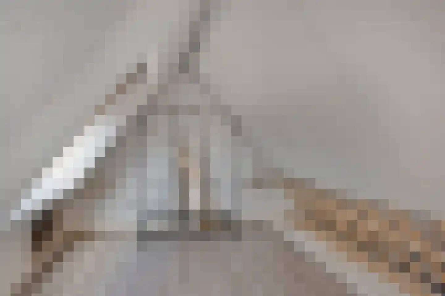 Kamille 5 Deventer thumbnail 16