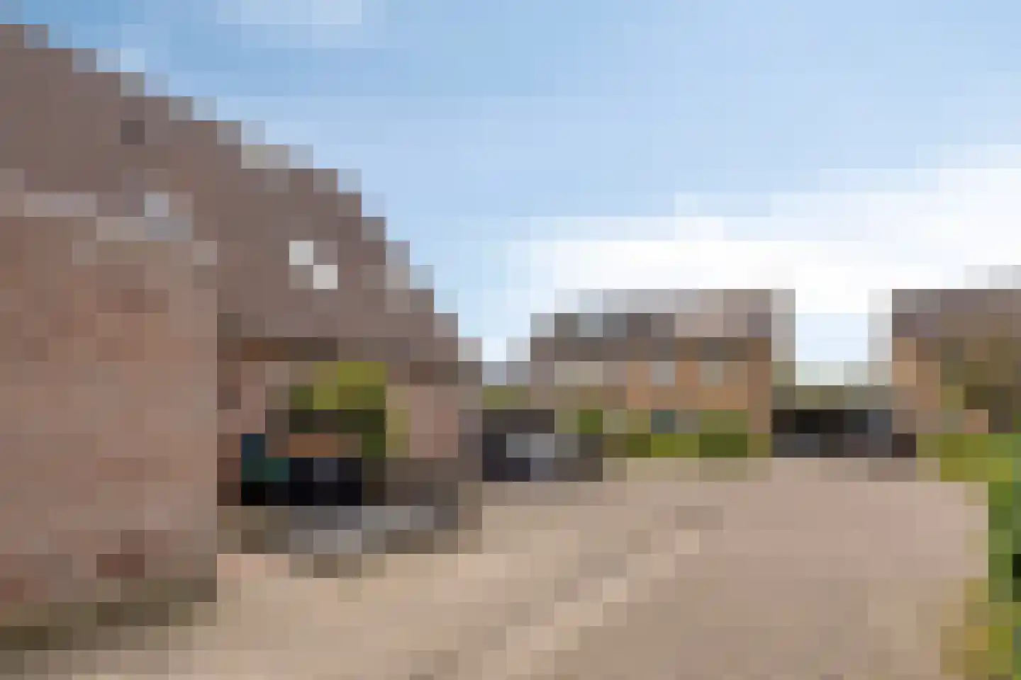 Kamille 5 Deventer thumbnail 21