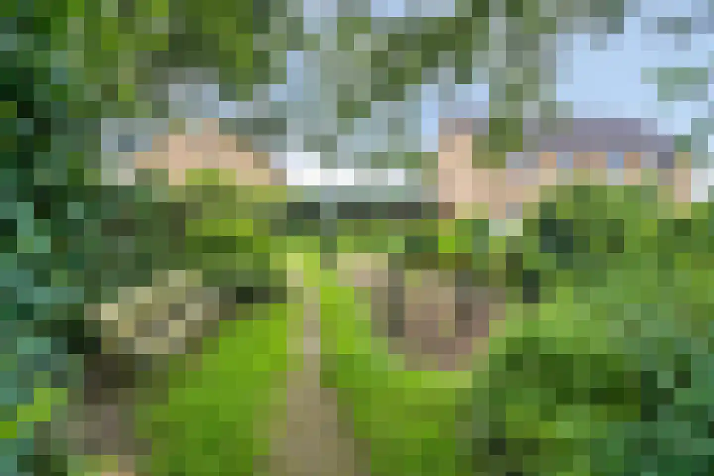 Kamille 5 Deventer thumbnail 23