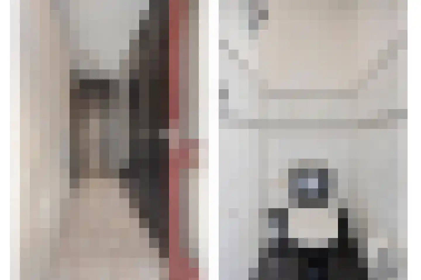 Kamille 5 Deventer thumbnail 7