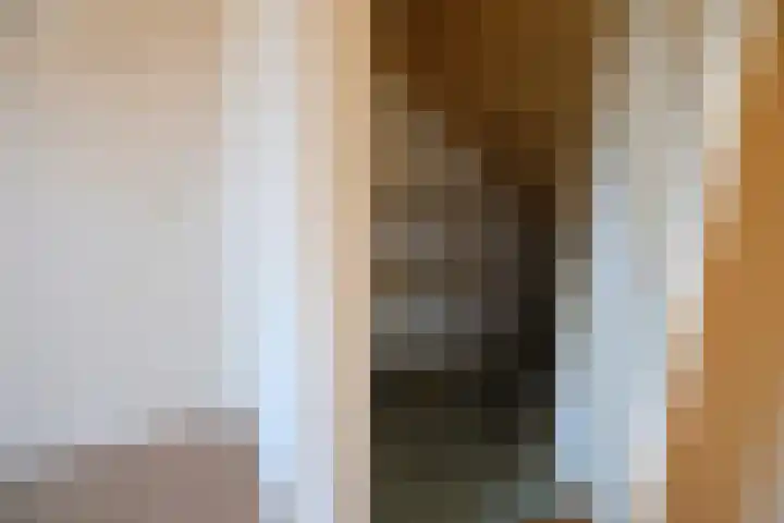 Kamille 55 Culemborg thumbnail 6