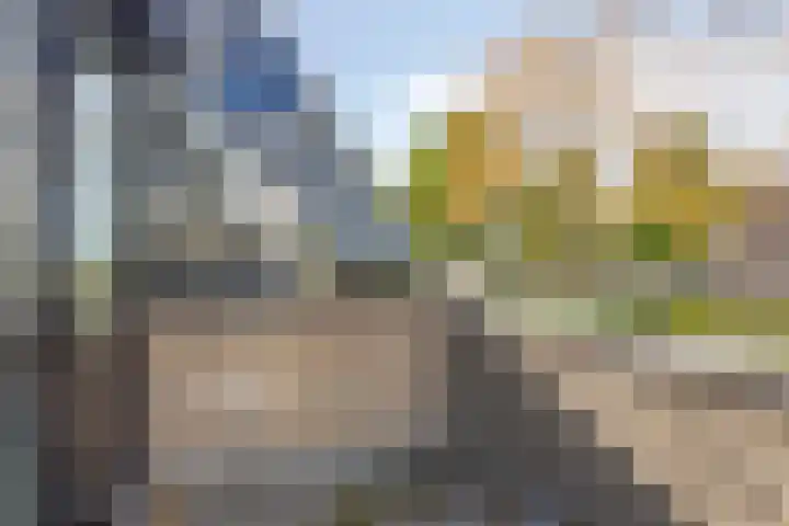 Kamille 6 Krimpen aan den IJssel thumbnail 23