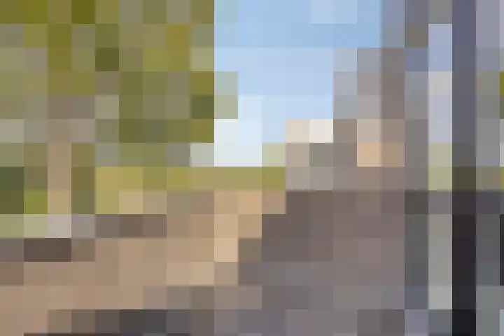 Kamille 6 Krimpen aan den IJssel thumbnail 24