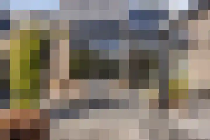 Kamille 6 Krimpen aan den IJssel thumbnail 32