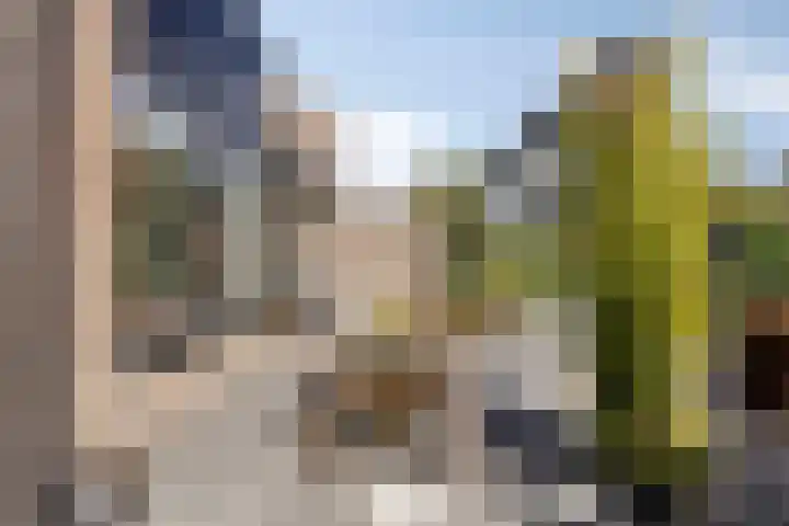 Kamille 6 Krimpen aan den IJssel thumbnail 33