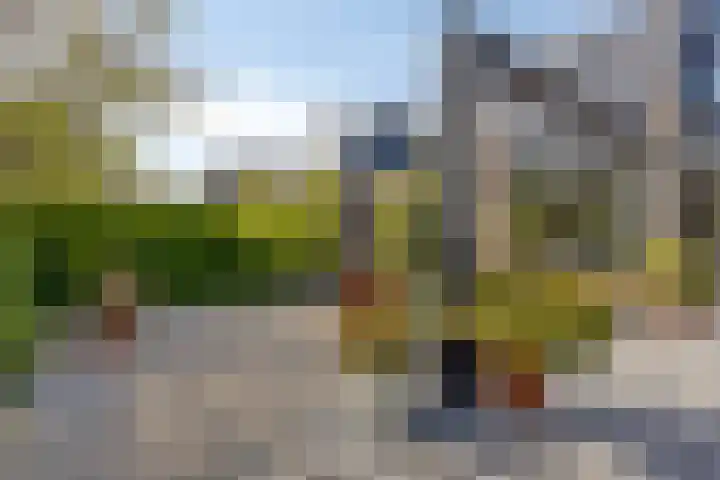 Kamille 6 Krimpen aan den IJssel thumbnail 34