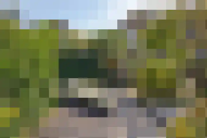 Kamille 6 Krimpen aan den IJssel thumbnail 35