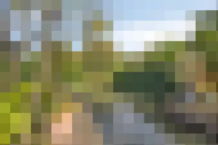 Kamille 6 Krimpen aan den IJssel thumbnail 36