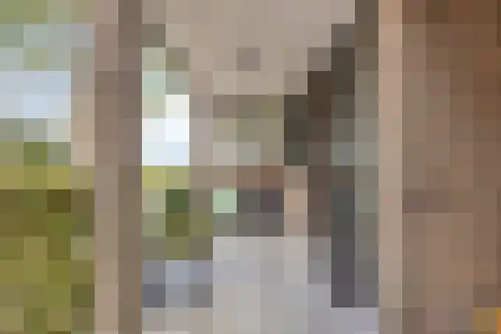 Kamille 6 Krimpen aan den IJssel thumbnail 37