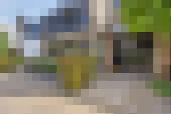Kamille 6 Krimpen aan den IJssel thumbnail 38