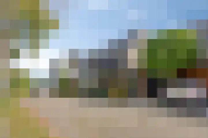 Kamille 6 Krimpen aan den IJssel thumbnail 40