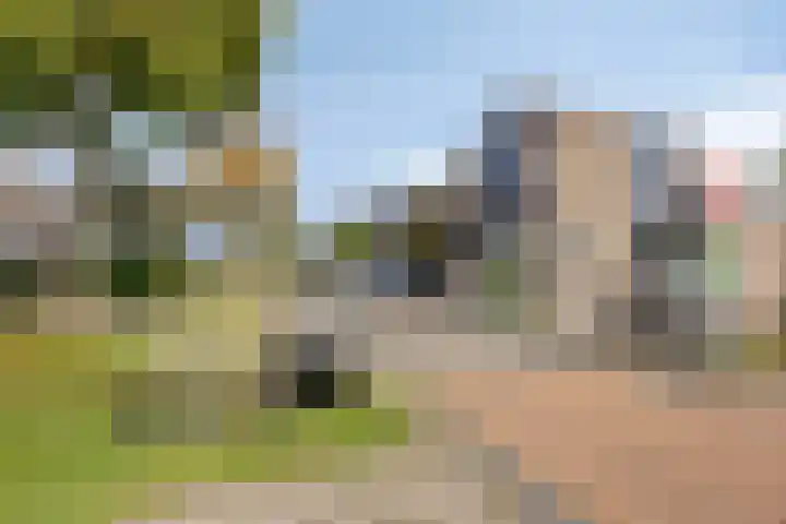 Kamille 6 Krimpen aan den IJssel thumbnail 41