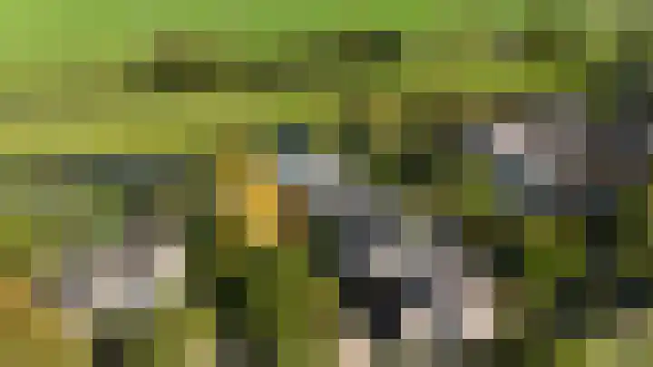 Kamille 6 Krimpen aan den IJssel thumbnail 42