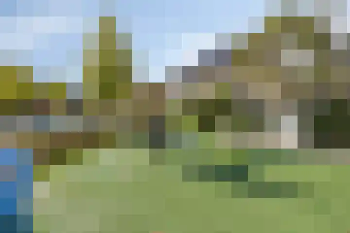 Kamille 6 Krimpen aan den IJssel thumbnail 43