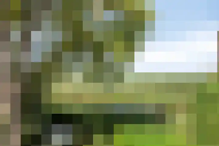 Kamille 6 Krimpen aan den IJssel thumbnail 44