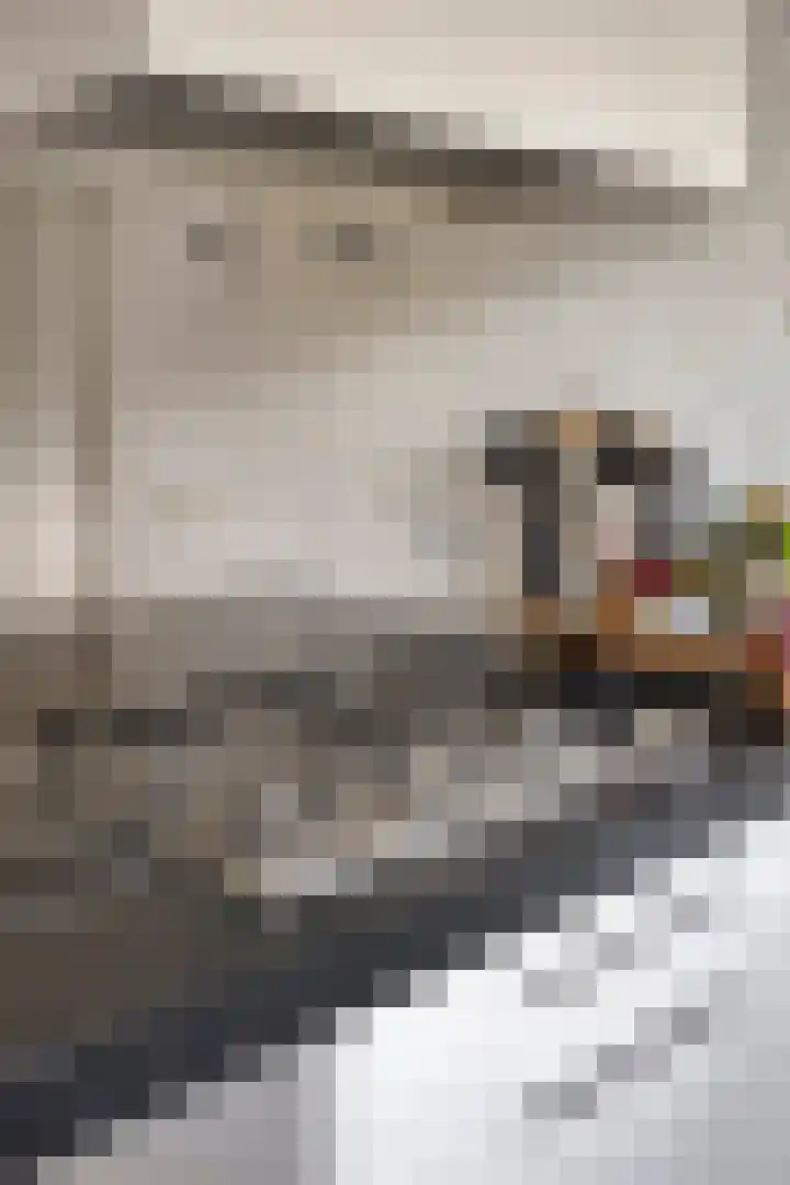 Kamille 6 Krimpen aan den IJssel thumbnail 9