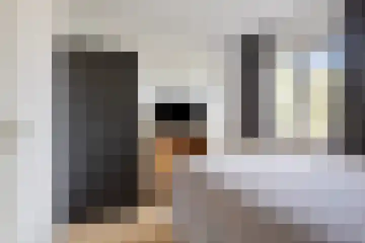 Kamille 73 Zwaag thumbnail 19