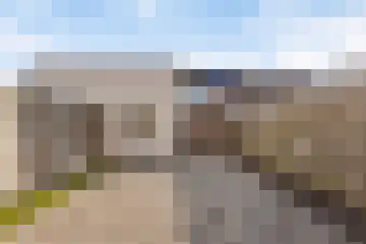 Kamille 73 Zwaag thumbnail 25