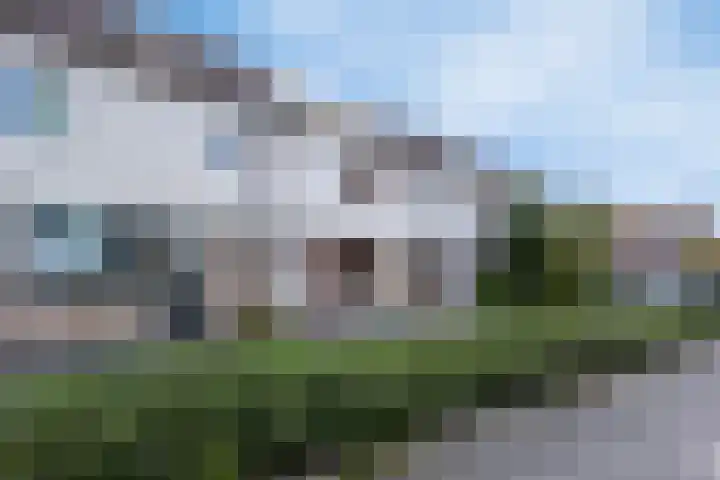 Kamille 73 Zwaag thumbnail 27