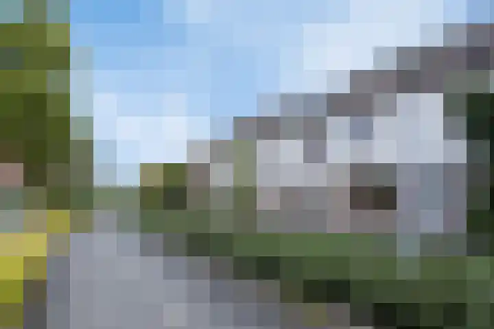 Kamille 73 Zwaag thumbnail 28