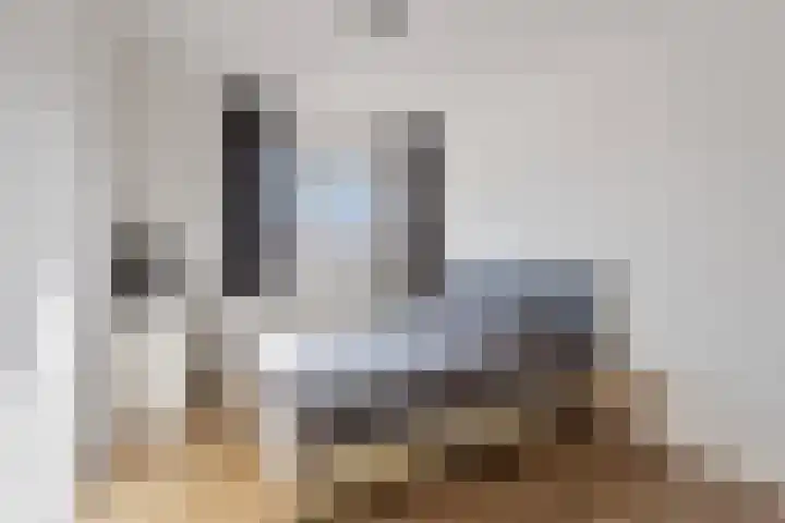 Kamille 73 Zwaag thumbnail 4