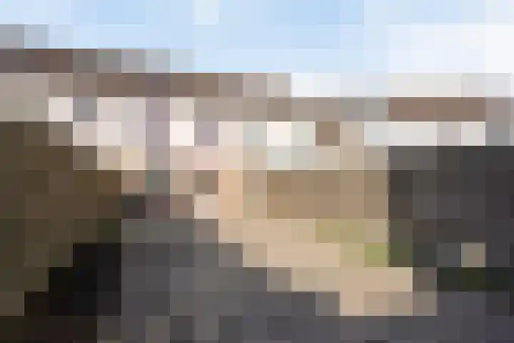 Kamille 73 Zwaag thumbnail 5