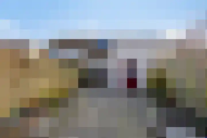 Kamille 74 Zwaag thumbnail 30