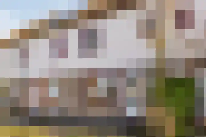 Kamille 74 Zwaag thumbnail 31